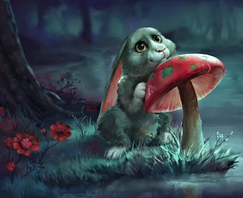 Cute Rabbit, Mushroom, cute, Art, Rabbit, HD wallpaper