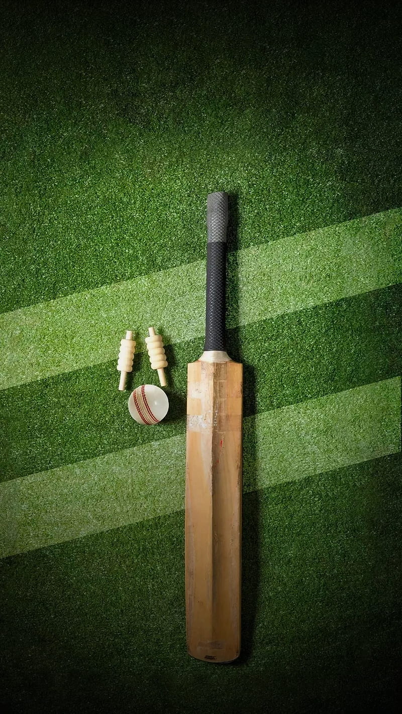 CRICKET , ball, bat, wicket, HD phone wallpaper