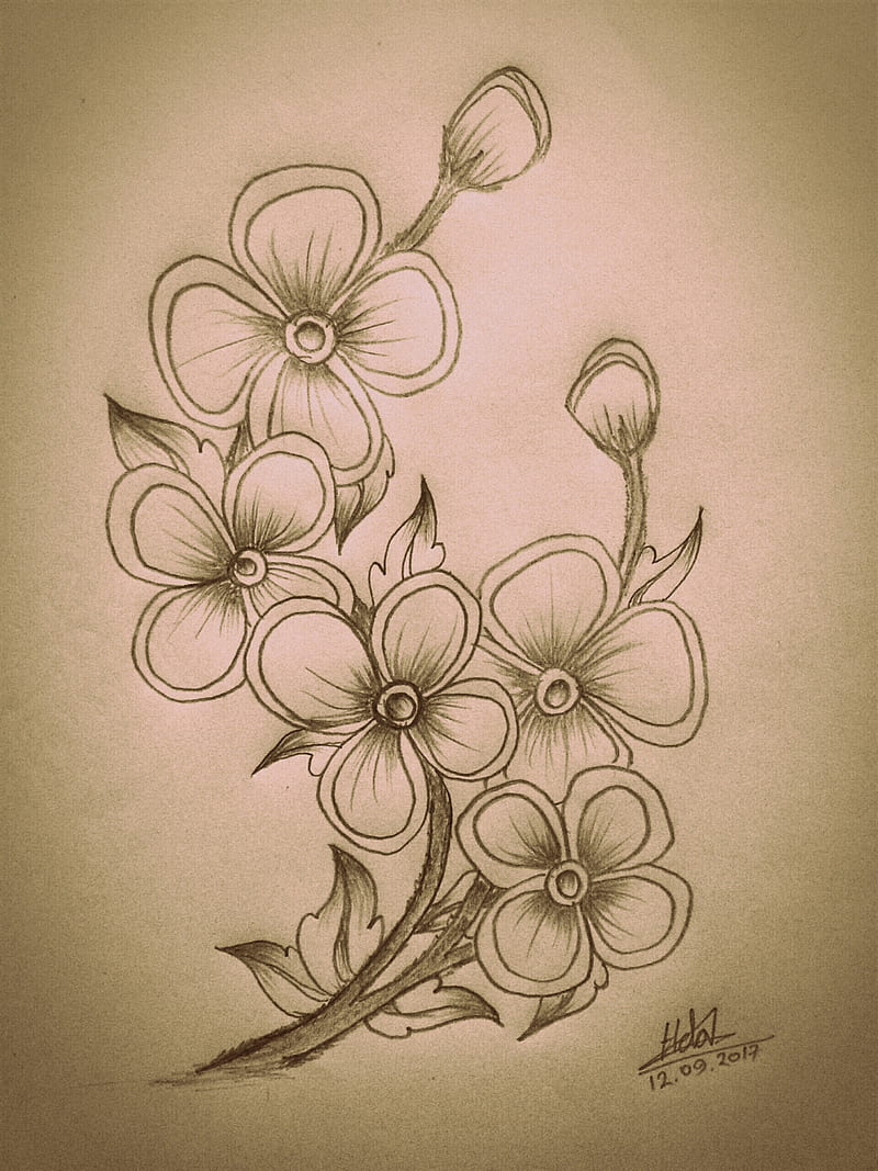 Flowers minimal pencil sketch black and white cute on Craiyon