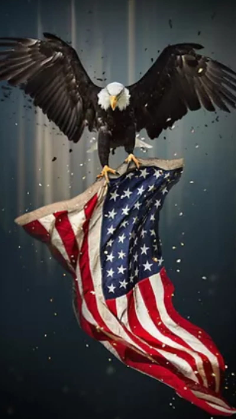 American Eagle , american, eagles, flag, america, HD phone wallpaper