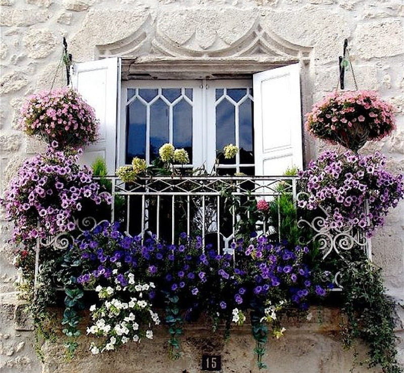 lovely flowering balcony, architecture, lovely flowers, houses, balcony, HD wallpaper