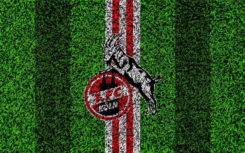 FC Koln German football club, football lawn, logo, emblem, grass texture, Bundesliga, Cologne, Germany, football, HD wallpaper
