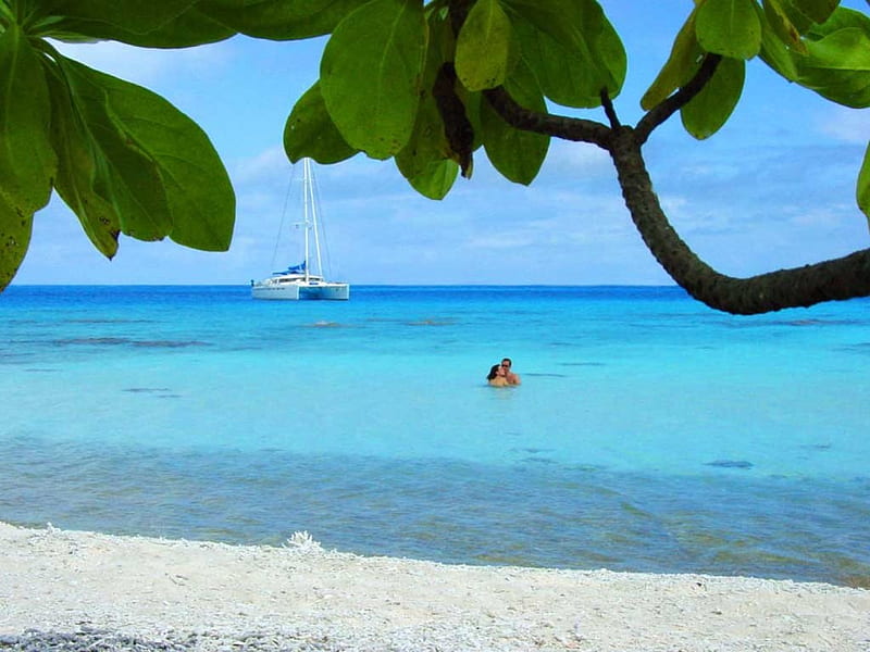 Luv in the Blue Lagoon, lovers, lagoon, beach, catamaran, tropical, palms, HD wallpaper