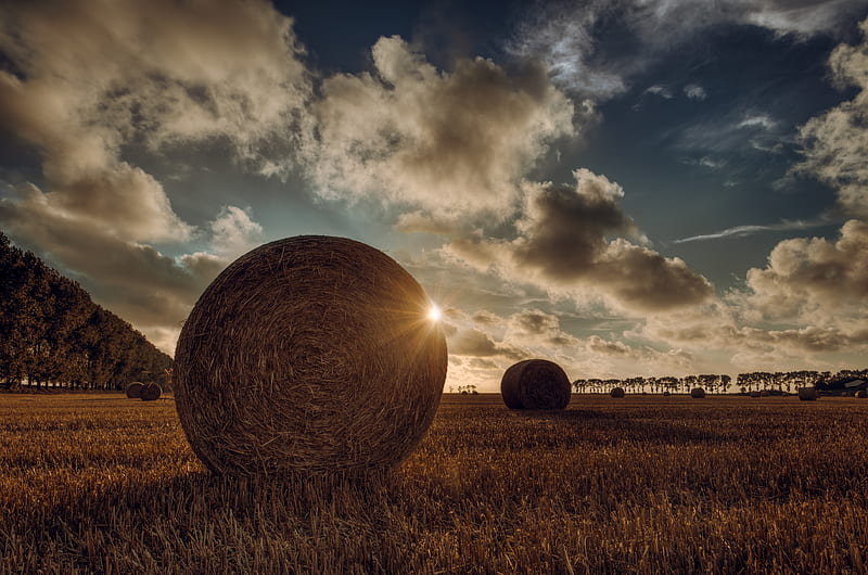 farmland, field, agriculture, clouds, sunlight, hay bales, Landscape, HD wallpaper