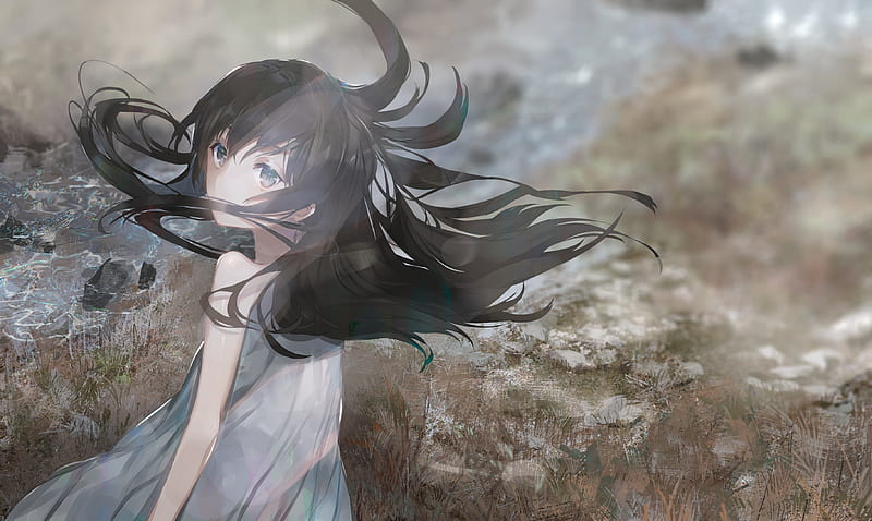 anime girl, black hair, scenic, field, white dress, wind, Anime, HD wallpaper
