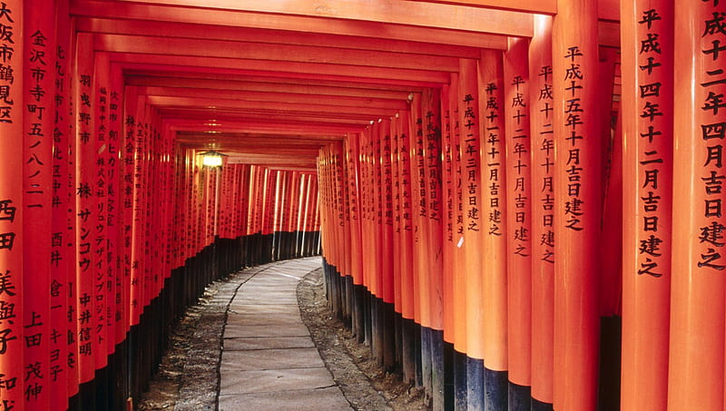 Fushimi Inari Shrine, gate, red, japan, shrine, temple, road, HD wallpaper