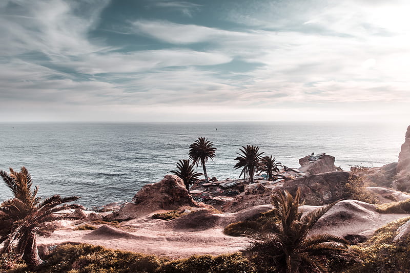 ocean, coast, palm trees, cliff, rocky, horizon, HD wallpaper