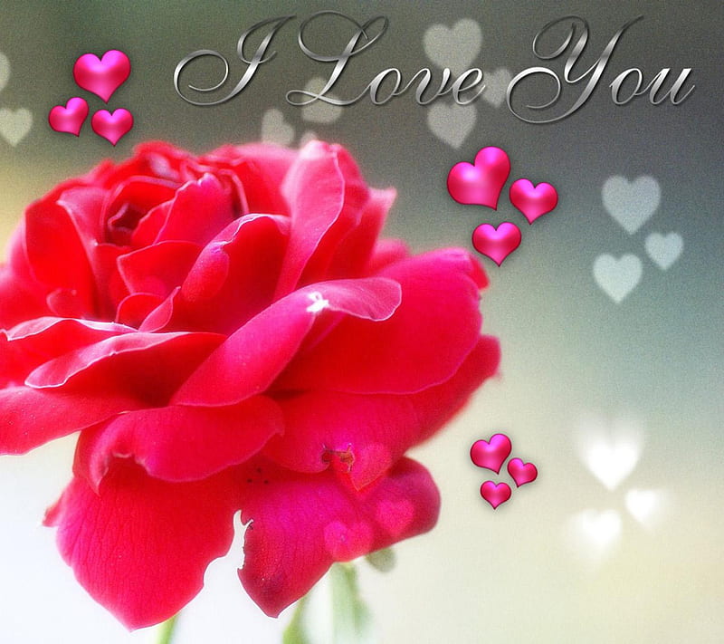 I Love You, i love, HD wallpaper | Peakpx