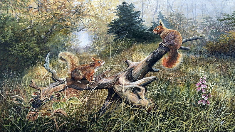 Red Squirrels In Woodland, Red, Foxglove, Wildlife, Wood, Painting, Art, Squirrels, HD wallpaper