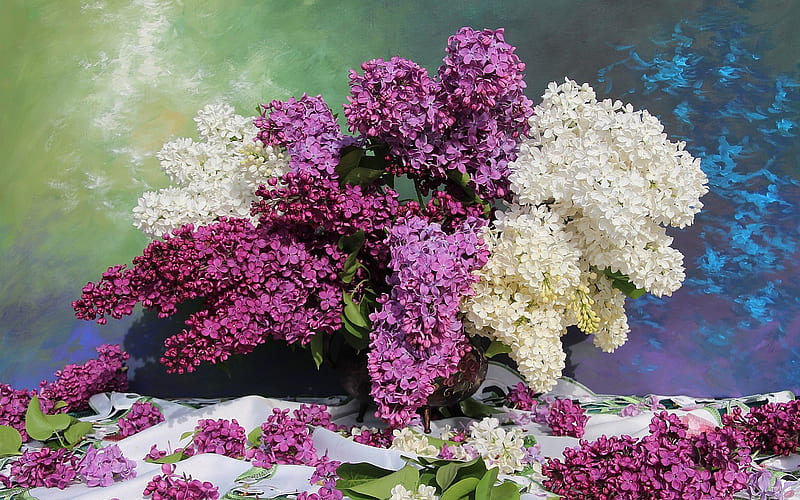 Lilacs, bouquet, still life, purple, blossoms, white, HD wallpaper