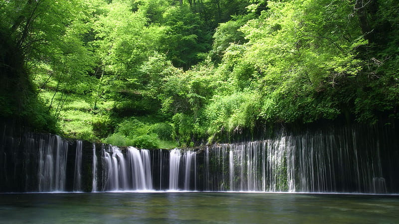 Lush Waterfall, forest, bonito, creek, trees, water, green, waterfall, nature, river, HD wallpaper
