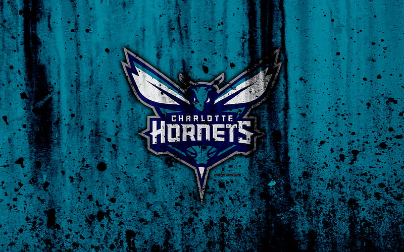 Charlotte Hornets grunge, NBA, basketball club, Eastern Conference, USA, emblem, stone texture, basketball, Southeast Division, HD wallpaper