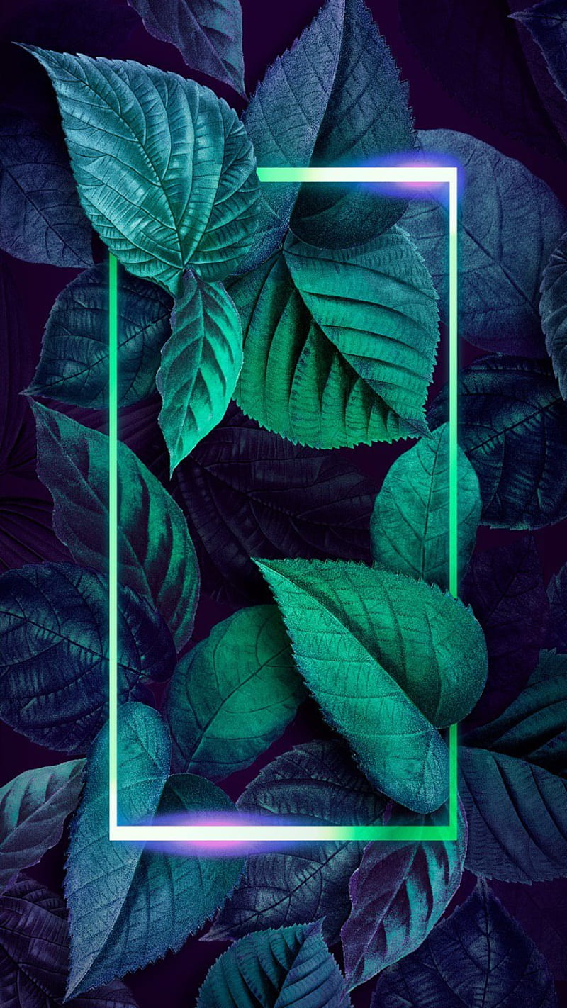 Home screen, frame, galaxy, green, leaf, leaves, samsung, valentine, HD  phone wallpaper | Peakpx