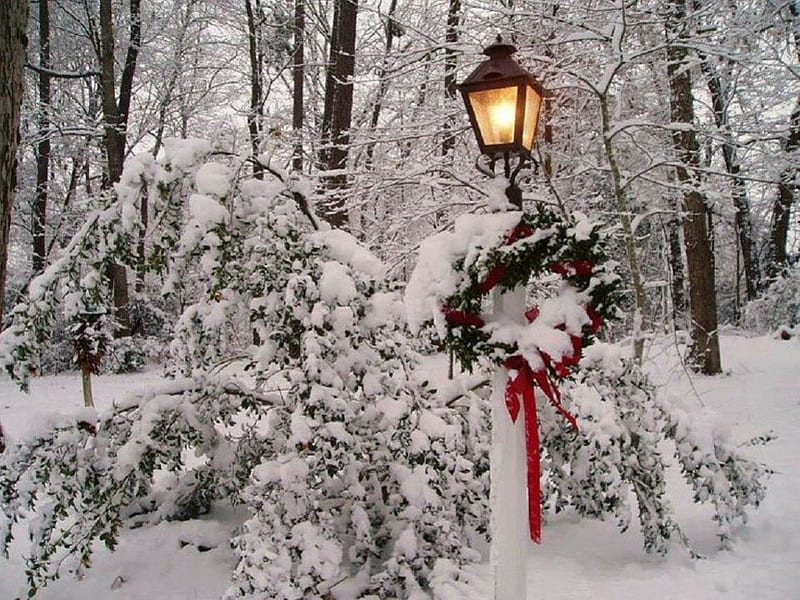Christmas Wreath, snow, nature, park, lamplighter, winter, HD wallpaper