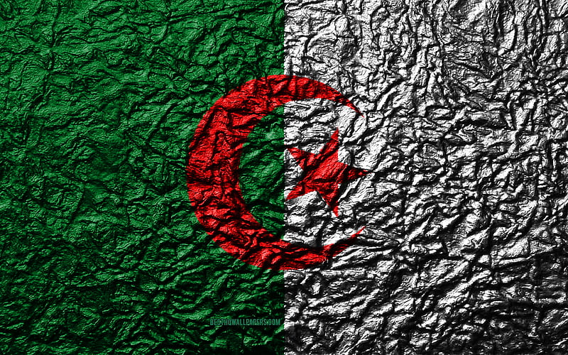 Flag of Algeria stone texture, waves texture, Algerian flag, national symbol, Algeria, Africa, stone background, HD wallpaper