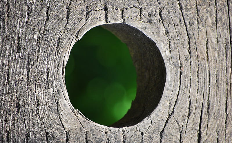 Hole in Fence Ultra, Vintage, Creative, Green, Circles, Wood, Wooden, Fence, Hole, bokeh, aesthetic, HD wallpaper
