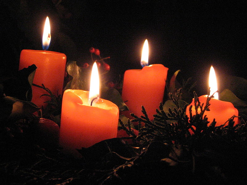 4.Advent Candles, red, christmas decoration, bonito, 4 burning candles, HD wallpaper