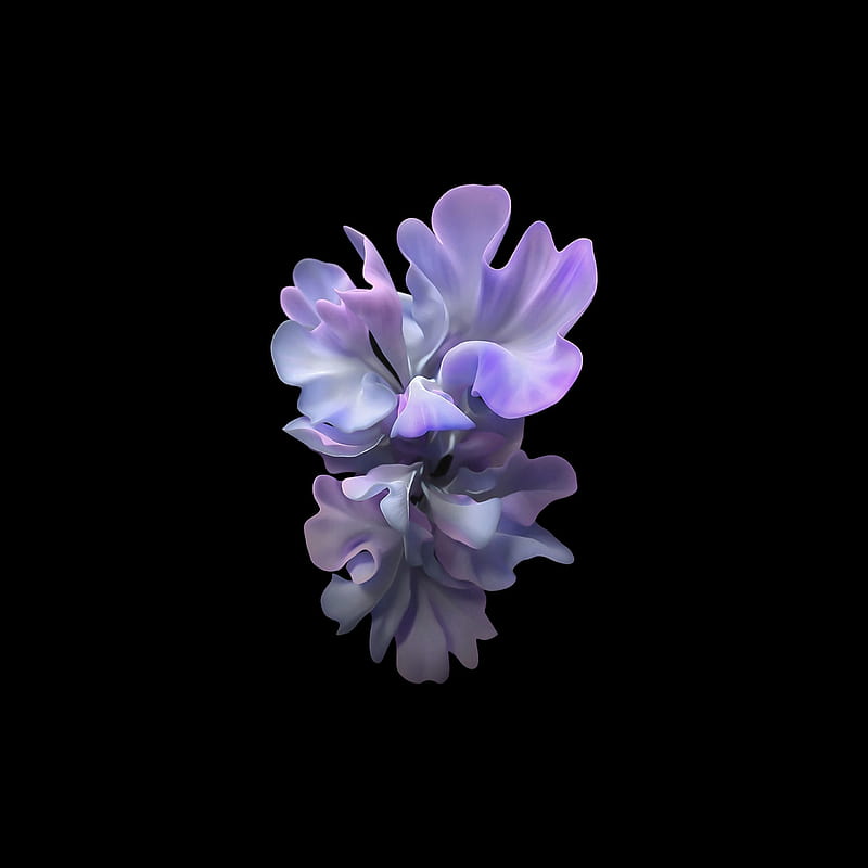 Galaxy Z Flip, flower, samsung galaxy z flip, HD phone wallpaper