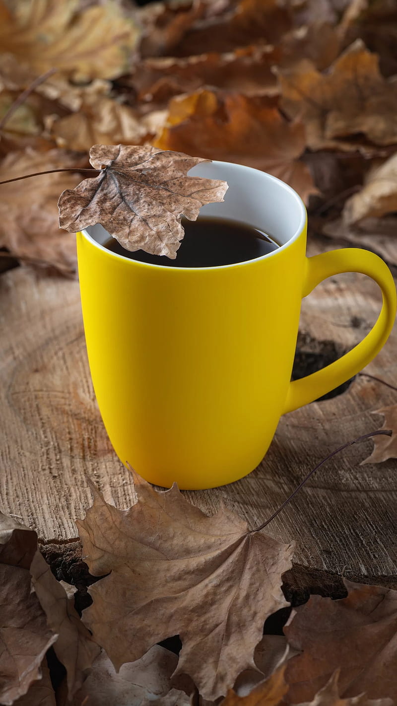 Tea in mug, autumn, cup, maple leaves, morning, mug, nice, tea, yellow mug,  HD phone wallpaper | Peakpx