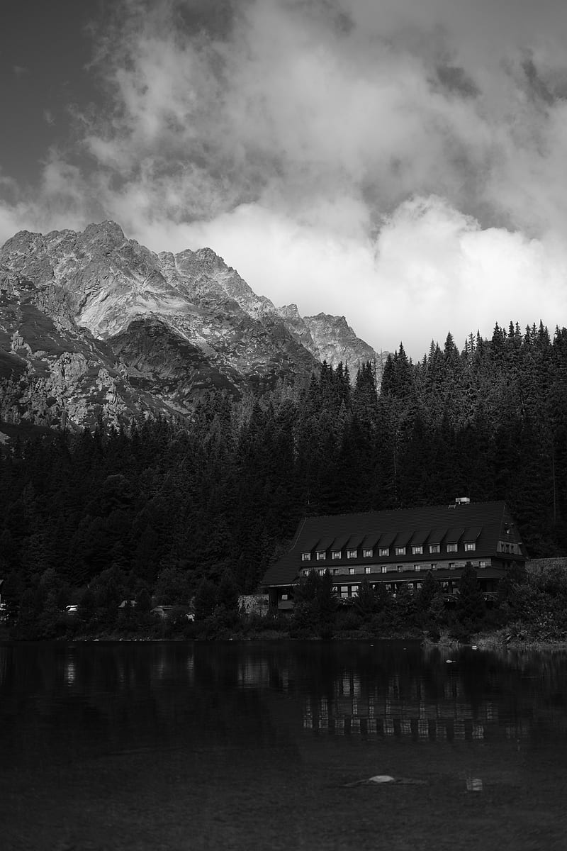 coast, house, mountains, trees, landscape, black-and-white, HD phone wallpaper