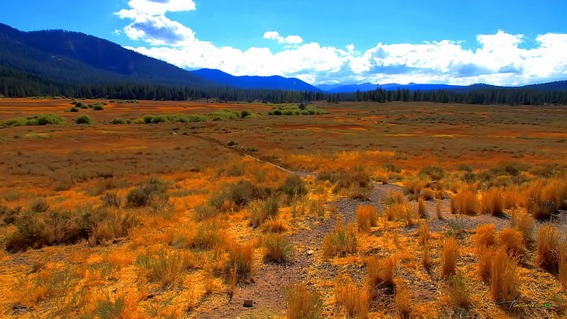 the prairie to the mountain range, autumn, grass, mountains, prairie, clouds, HD wallpaper
