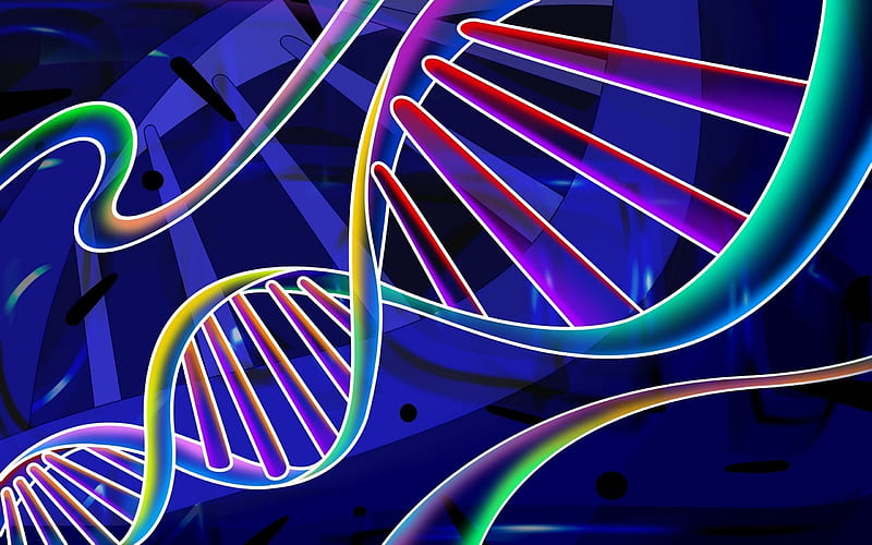 DNA molecule, 3d dna, dna neon, neon molecule, science, biology, HD  wallpaper | Peakpx