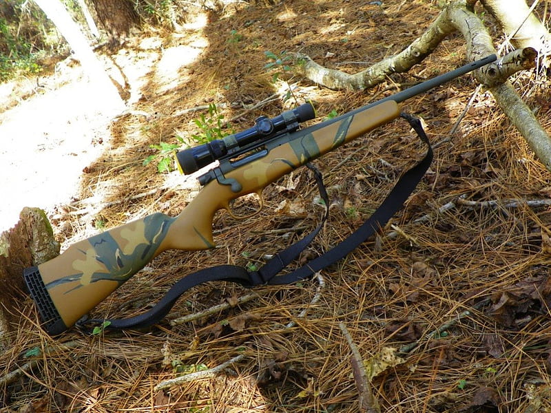 Remington M600, hunt, rifle, thrill, weapon, HD wallpaper