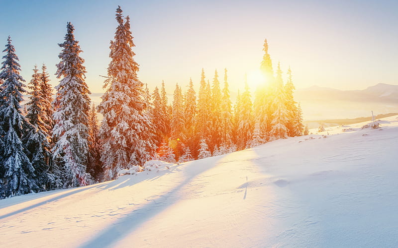 winter landscape, mountains, snow, sunset, sun, snow-capped trees, HD wallpaper