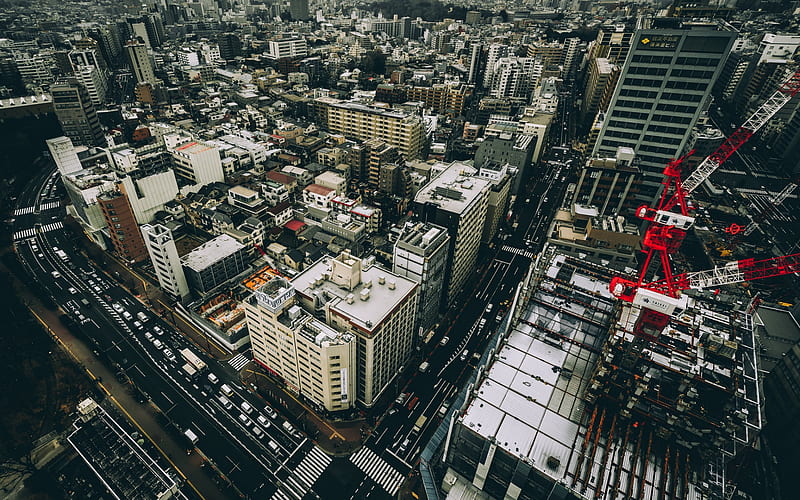 Tokyo, cityscape, metropolis, buildings, Japanese capital, japan, Capital of Japan, HD wallpaper