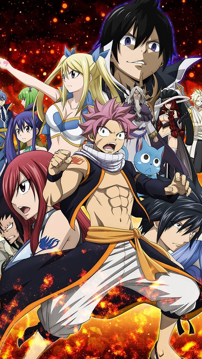 Fairy tail, anime, erza, fairy tail, gray, happy, lucy, natsu, HD phone  wallpaper | Peakpx