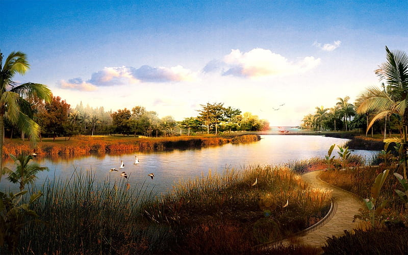 japan scenery, reeds, walkway, trees, lake, ducks, HD wallpaper