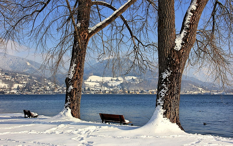 Lake Tegernsee in Germany, lake, winter, snow, benches, Germany, trees, HD wallpaper