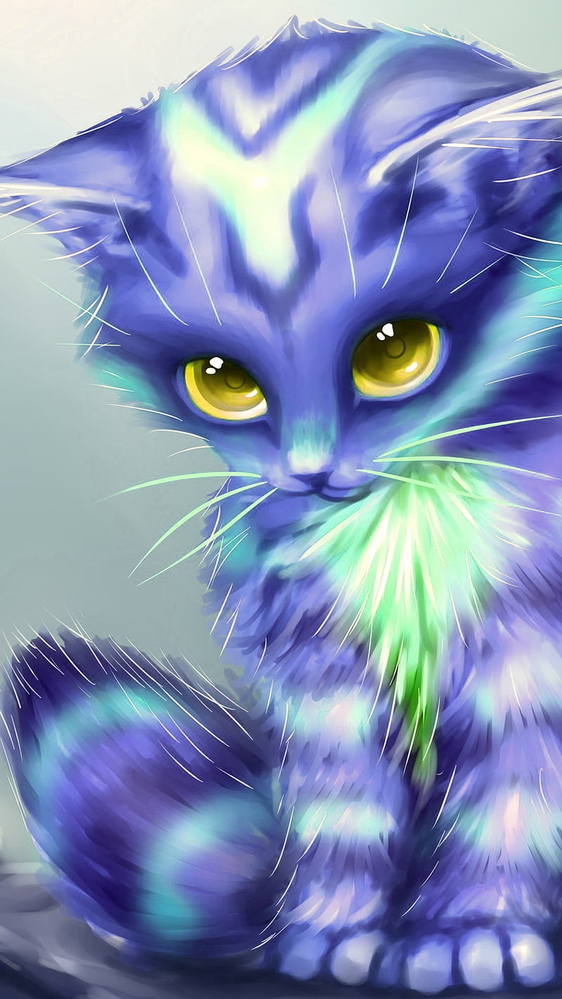 Cat, blue, kitten, HD phone wallpaper