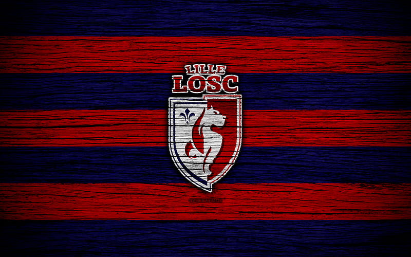 Lille OSC, le losc, logo, losc lille, soccer, wooden, HD wallpaper