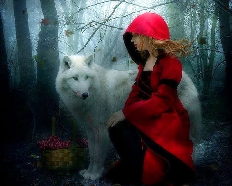 Little Red Riding Hood, models, love four seasons, creative pre-made, digital art, fantasy, manipulation, weird things people wear, wolf, girls, forests, HD wallpaper