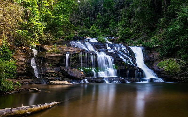 waterfall, lake, forest, green trees, beautiful waterfall, natural environment, HD wallpaper