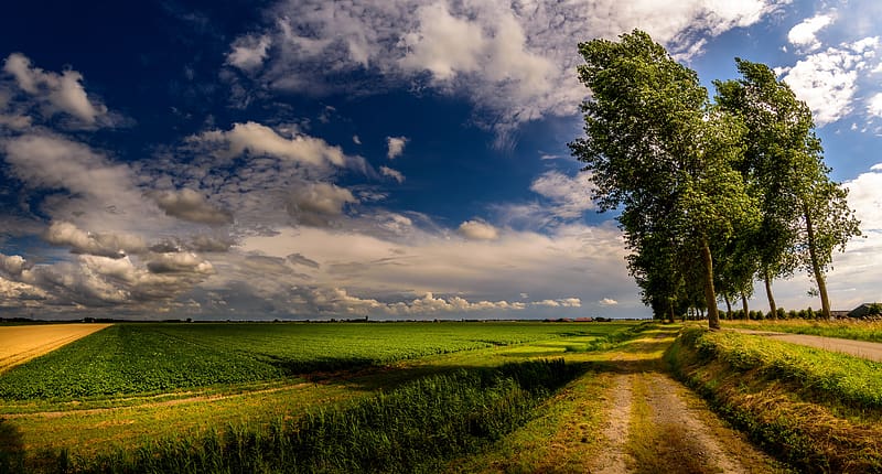 Landscape, Nature, Sky, Horizon, , Field, Cloud, Dirt Road, HD ...