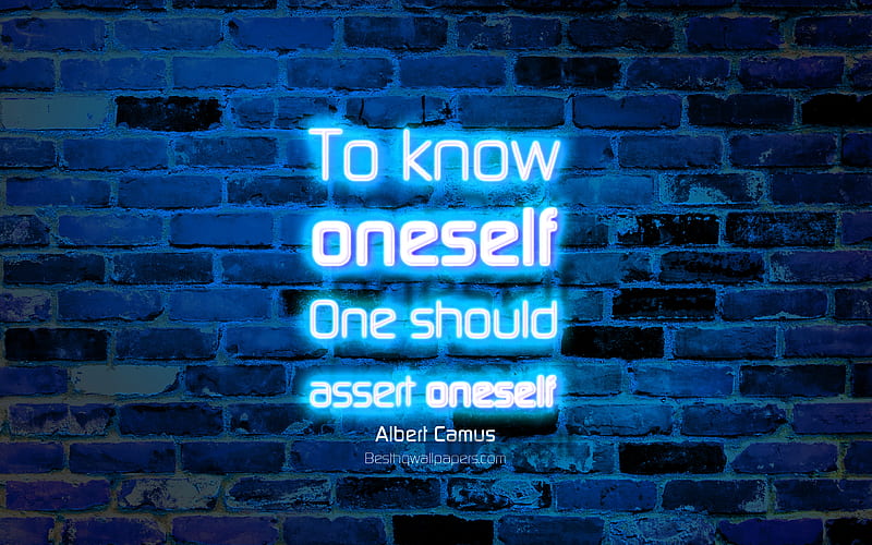 To know oneself One should assert oneself blue brick wall, Albert Camus Quotes, popular quotes, neon text, inspiration, Albert Camus, quotes about oneself, HD wallpaper