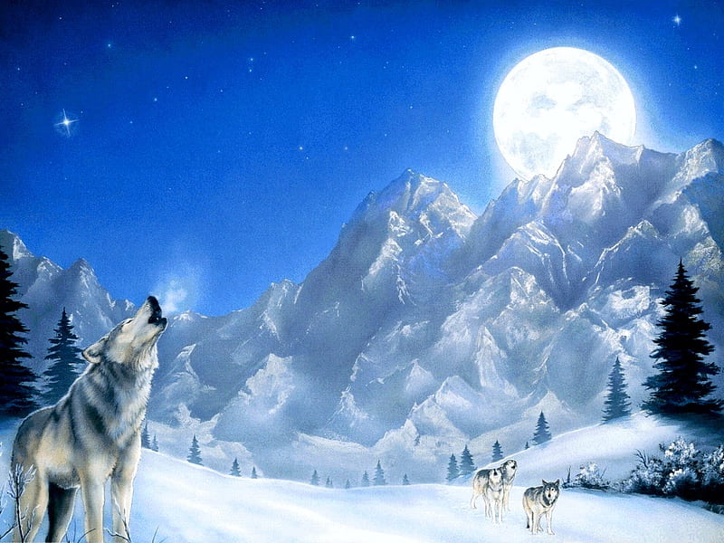 Lobos en la nieve, estrellas, luna, nieve, montañas, lobos, cielo,  aullando, Fondo de pantalla HD | Peakpx