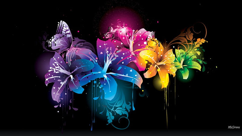 Butterfly Floral Fantasy, colorful, paint, splatter, butterflies, drip, abstract, bright, flowers, light, vector, HD wallpaper