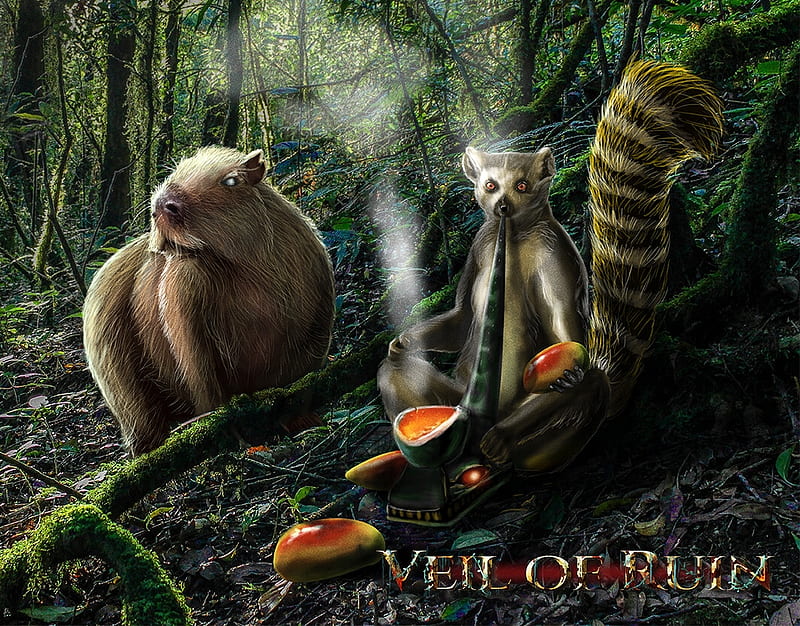 The lemur, fruit, forest, fantasy, lemur, papaya, creative, luis blanco artimus, animal, HD wallpaper