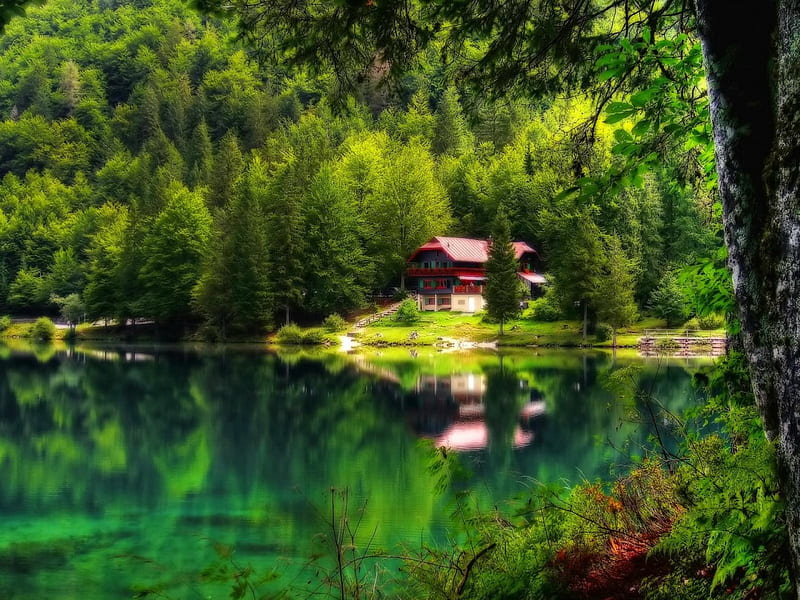 Lake paradise, shore, cottahe, retreat, cabin, green, reflection, tranquility, rest, forest, quiet, calmness, greenery, heaves, emerald, trees, lake, serenity, paradise, peaceful, crystal, nature, HD wallpaper