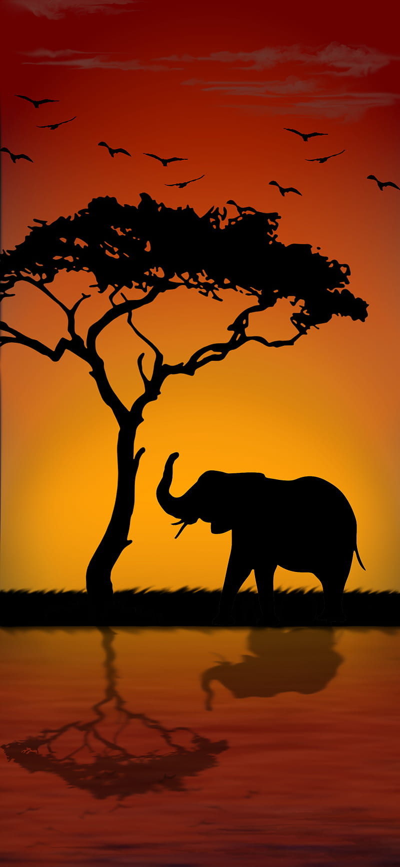 African Dream, africa, elephant, nature, sun, sunset, HD phone wallpaper