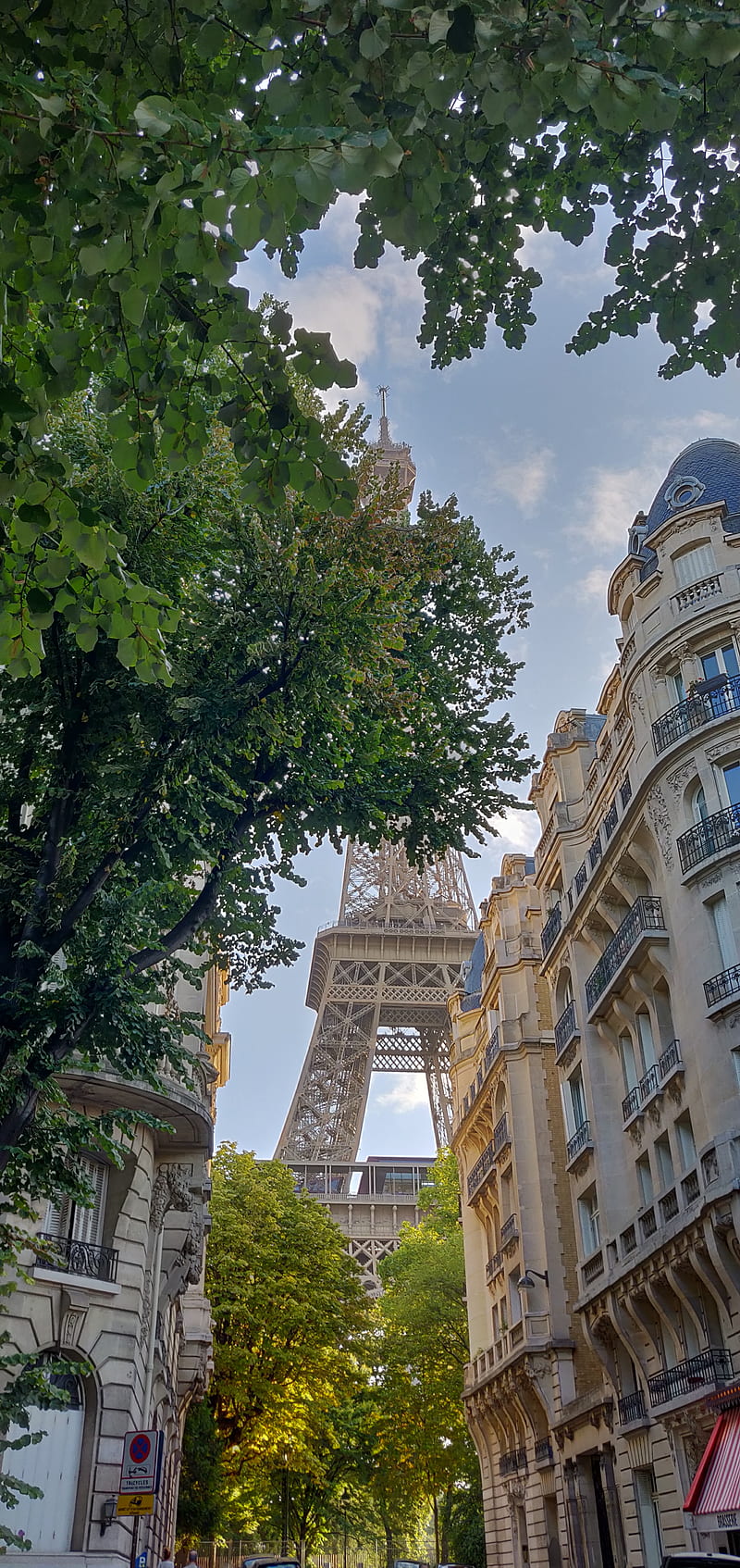 Tour eiffel , champs de mars, eiffel tower, france, paris, theme, tour eiffel, tower, HD phone wallpaper