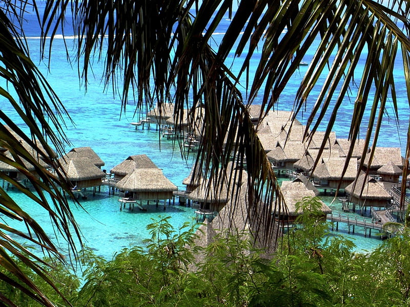 Tahiti Moorea, beach, resort, tropical, HD wallpaper