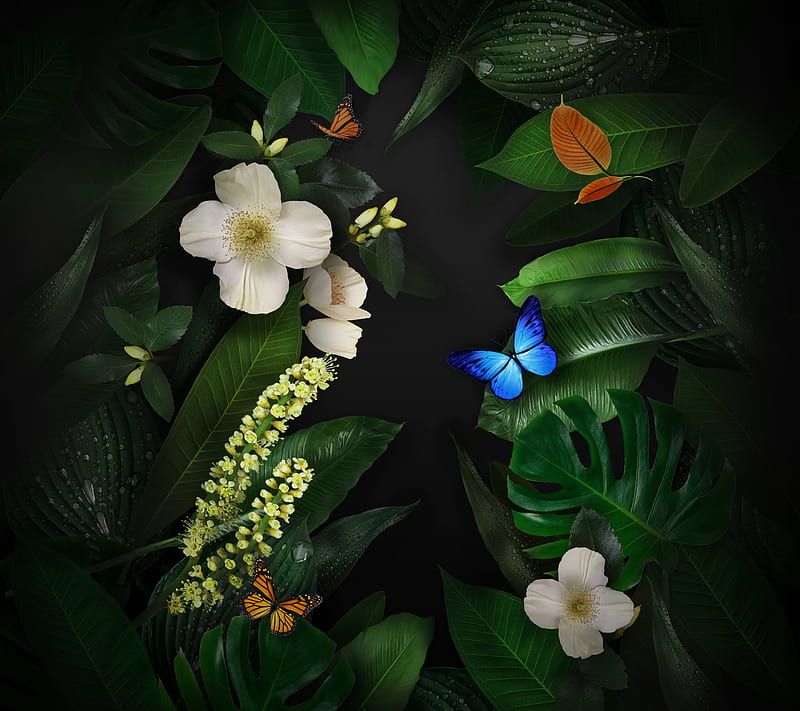HUAWEI MATE 10, butterfly, flowers, huawei mate 10 , leaves, mate 10, nature, stock wall, HD wallpaper