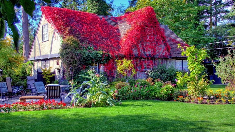 cottage spring garden, architecture, house, cottage, garden, spring, HD wallpaper