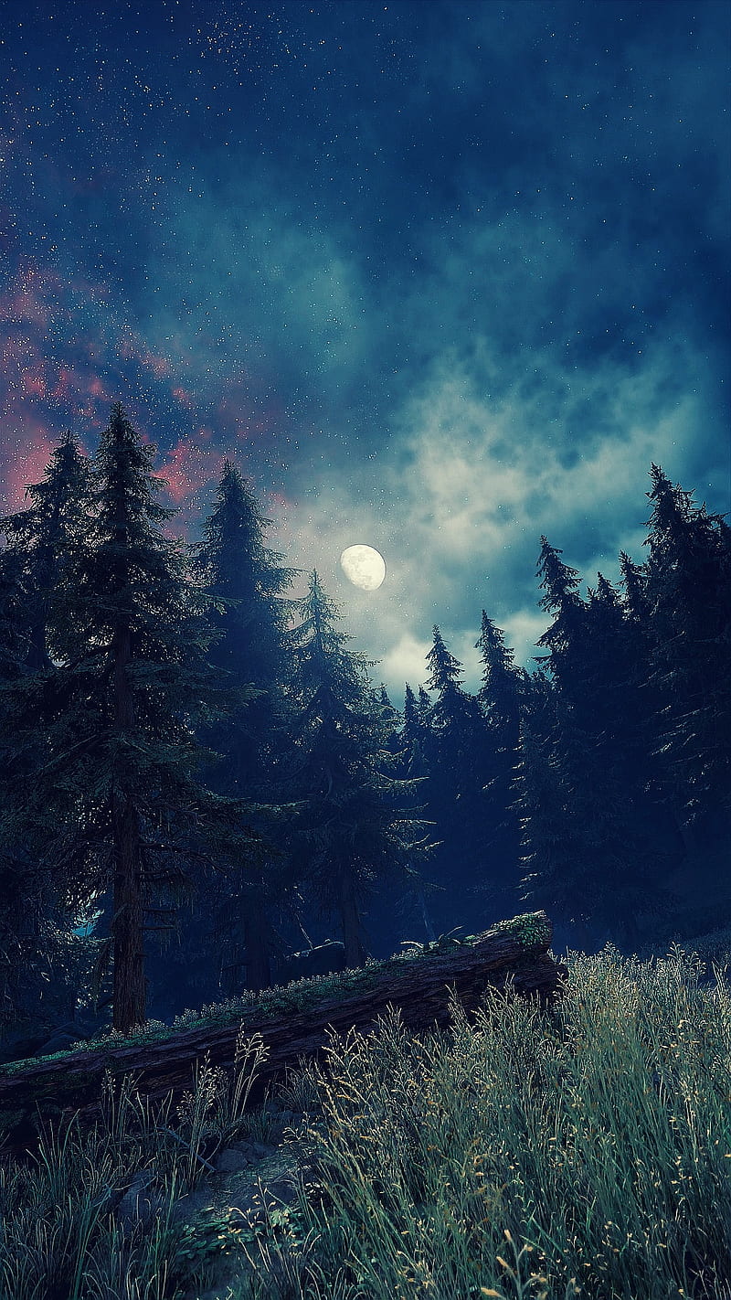 Forest Moonlight , days gone, mountains, mode, ps4, ps4 share, sky, stars, trees, HD phone wallpaper