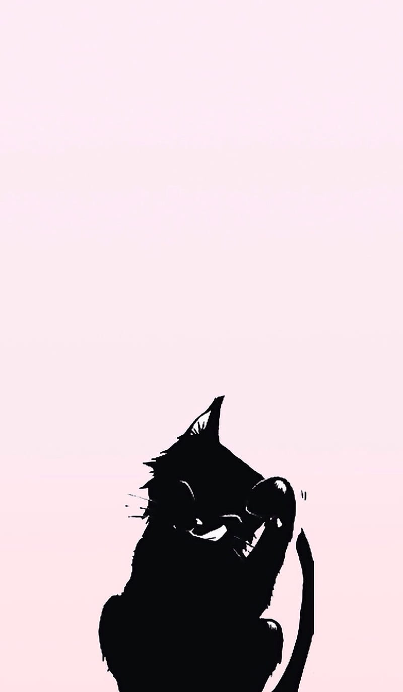 Cute black cat, cat, cute, pink, HD phone wallpaper