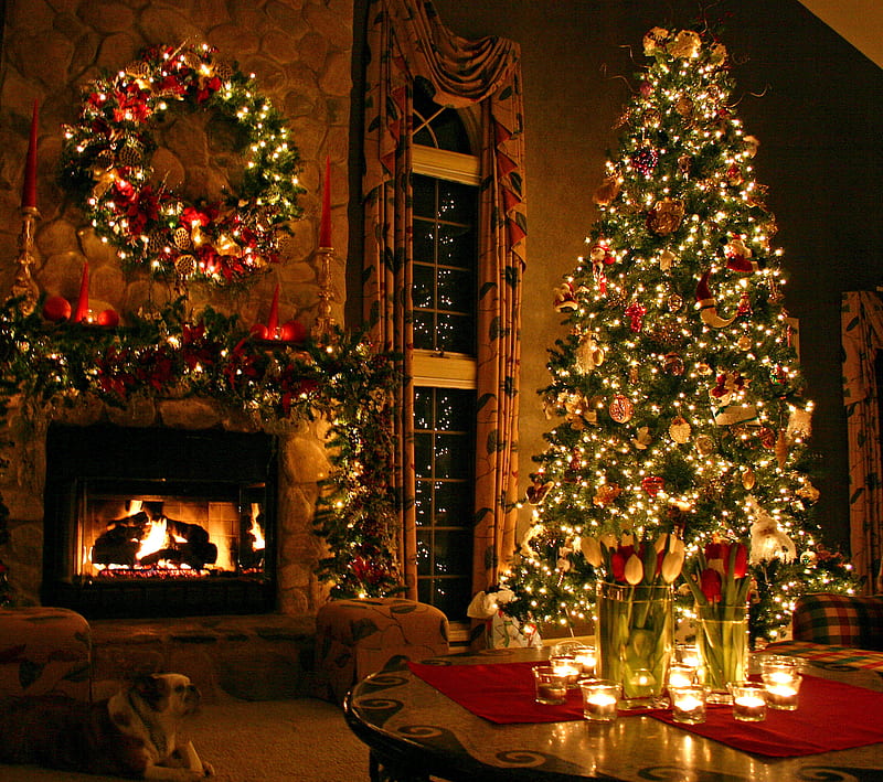 Christmas Tree, holidays, HD wallpaper